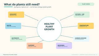 Prepared by CA Suvidha Chaplot H Y D R O P O N I C S • G R O W I N G P L A N T S W I TH O UT S O I L
What do plants still need?
Hydroponics replaces soil — not the basic biology of plant growth.
PLANT NEEDS
HEALTHY
PLANT
GROWTH
SUNLIGHT
Natural or LED
WATER
Clean and available
NUTRIENTS
Macro + trace minerals
SUPPORT
Net pots / media
MICROBES
Helpful root partners
CARBON DIOXIDE
For photosynthesis
TEMPERATURE
Suitable for crop
OXYGEN + AIR
Especially at roots
9
 