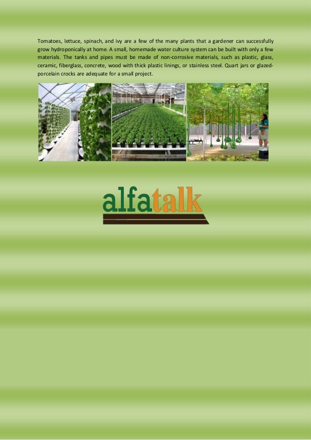 Hydroponics Farming a Profitable Business