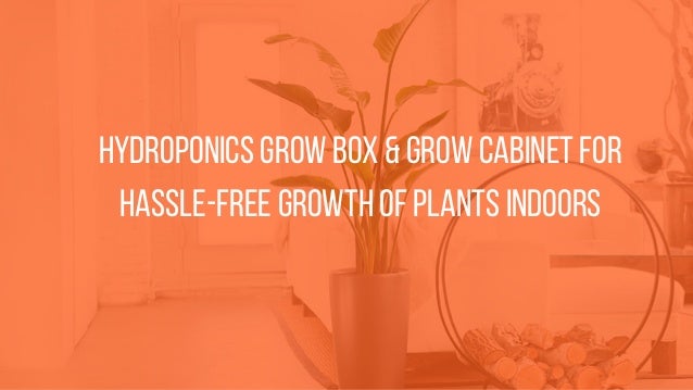 Hydroponics Grow Box Grow Cabinet For Hassle Free Growth Of Plants