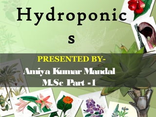 Hydroponic
s
PRESENTED BY-
Amiya KumarMandal
M.Sc Part -1
 