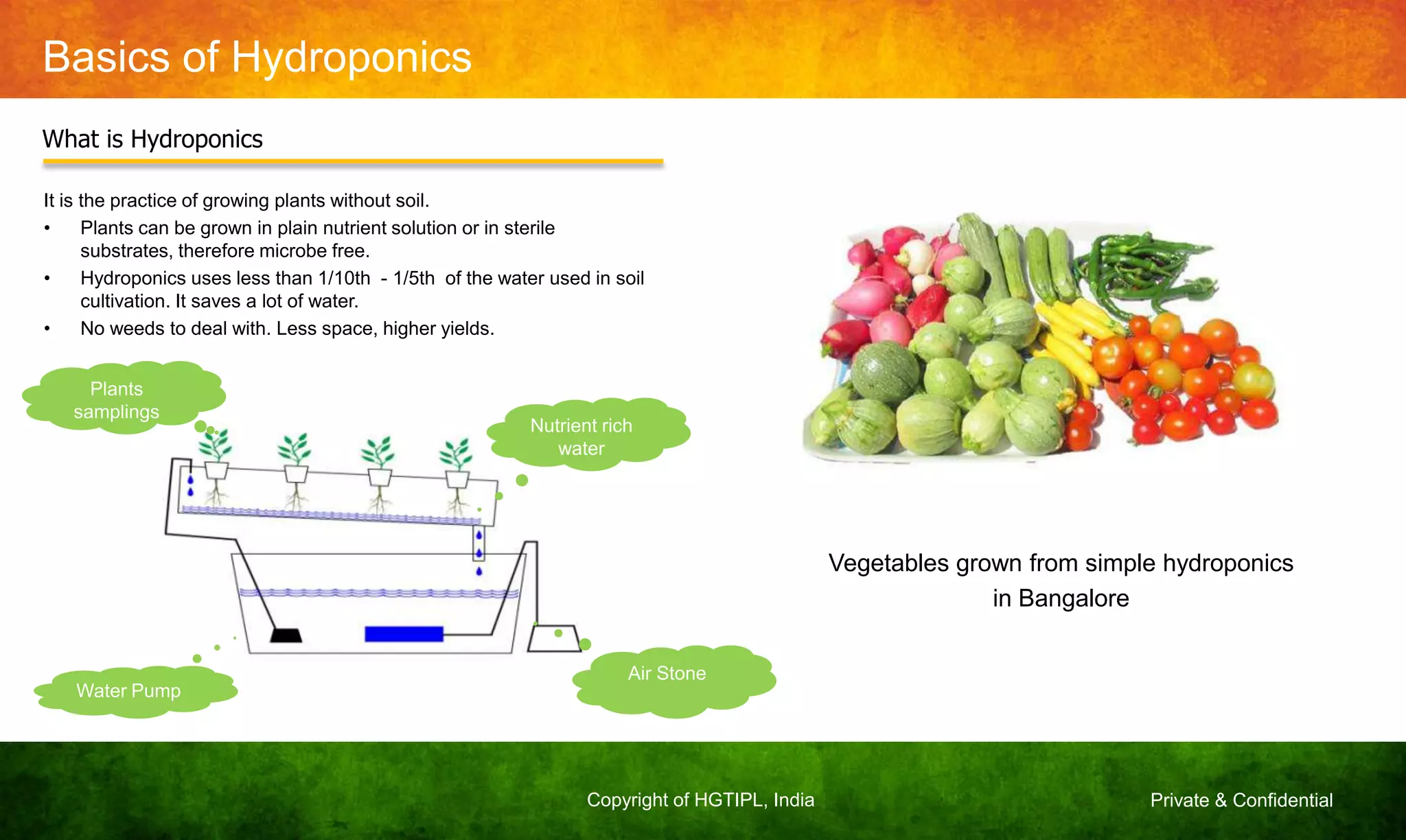 Private & ConfidentialCopyright of HGTIPL, India
Basics of Hydroponics
Vegetables grown from simple hydroponics
in Bangalore
What is Hydroponics
It is the practice of growing plants without soil.
• Plants can be grown in plain nutrient solution or in sterile
substrates, therefore microbe free.
• Hydroponics uses less than 1/10th - 1/5th of the water used in soil
cultivation. It saves a lot of water.
• No weeds to deal with. Less space, higher yields.
Nutrient rich
water
Air Stone
Water Pump
Plants
samplings
 