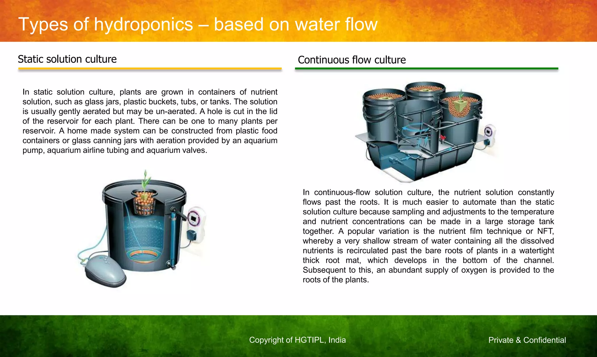 Private & ConfidentialCopyright of HGTIPL, India
Types of hydroponics – based on water flow
Static solution culture Continuous flow culture
In static solution culture, plants are grown in containers of nutrient
solution, such as glass jars, plastic buckets, tubs, or tanks. The solution
is usually gently aerated but may be un-aerated. A hole is cut in the lid
of the reservoir for each plant. There can be one to many plants per
reservoir. A home made system can be constructed from plastic food
containers or glass canning jars with aeration provided by an aquarium
pump, aquarium airline tubing and aquarium valves.
In continuous-flow solution culture, the nutrient solution constantly
flows past the roots. It is much easier to automate than the static
solution culture because sampling and adjustments to the temperature
and nutrient concentrations can be made in a large storage tank
together. A popular variation is the nutrient film technique or NFT,
whereby a very shallow stream of water containing all the dissolved
nutrients is recirculated past the bare roots of plants in a watertight
thick root mat, which develops in the bottom of the channel.
Subsequent to this, an abundant supply of oxygen is provided to the
roots of the plants.
 
