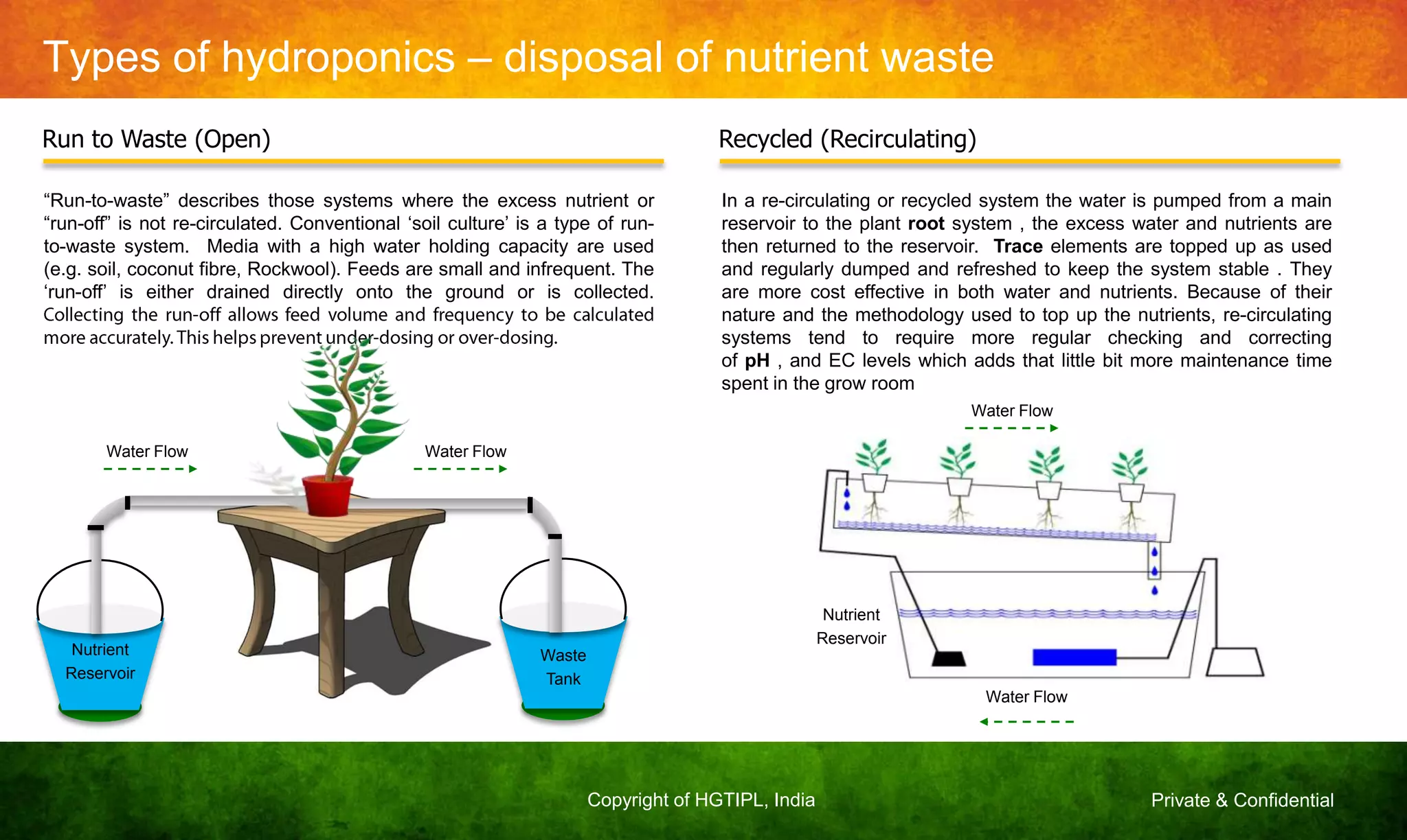 Private & ConfidentialCopyright of HGTIPL, India
Types of hydroponics – disposal of nutrient waste
Run to Waste (Open) Recycled (Recirculating)
Nutrient
Reservoir
Waste
Tank
“Run-to-waste” describes those systems where the excess nutrient or
“run-off” is not re-circulated. Conventional „soil culture‟ is a type of run-
to-waste system. Media with a high water holding capacity are used
(e.g. soil, coconut fibre, Rockwool). Feeds are small and infrequent. The
„run-off‟ is either drained directly onto the ground or is collected.
Water Flow
In a re-circulating or recycled system the water is pumped from a main
reservoir to the plant root system , the excess water and nutrients are
then returned to the reservoir. Trace elements are topped up as used
and regularly dumped and refreshed to keep the system stable . They
are more cost effective in both water and nutrients. Because of their
nature and the methodology used to top up the nutrients, re-circulating
systems tend to require more regular checking and correcting
of pH , and EC levels which adds that little bit more maintenance time
spent in the grow room
Nutrient
Reservoir
Water Flow
Water Flow
Water Flow
 