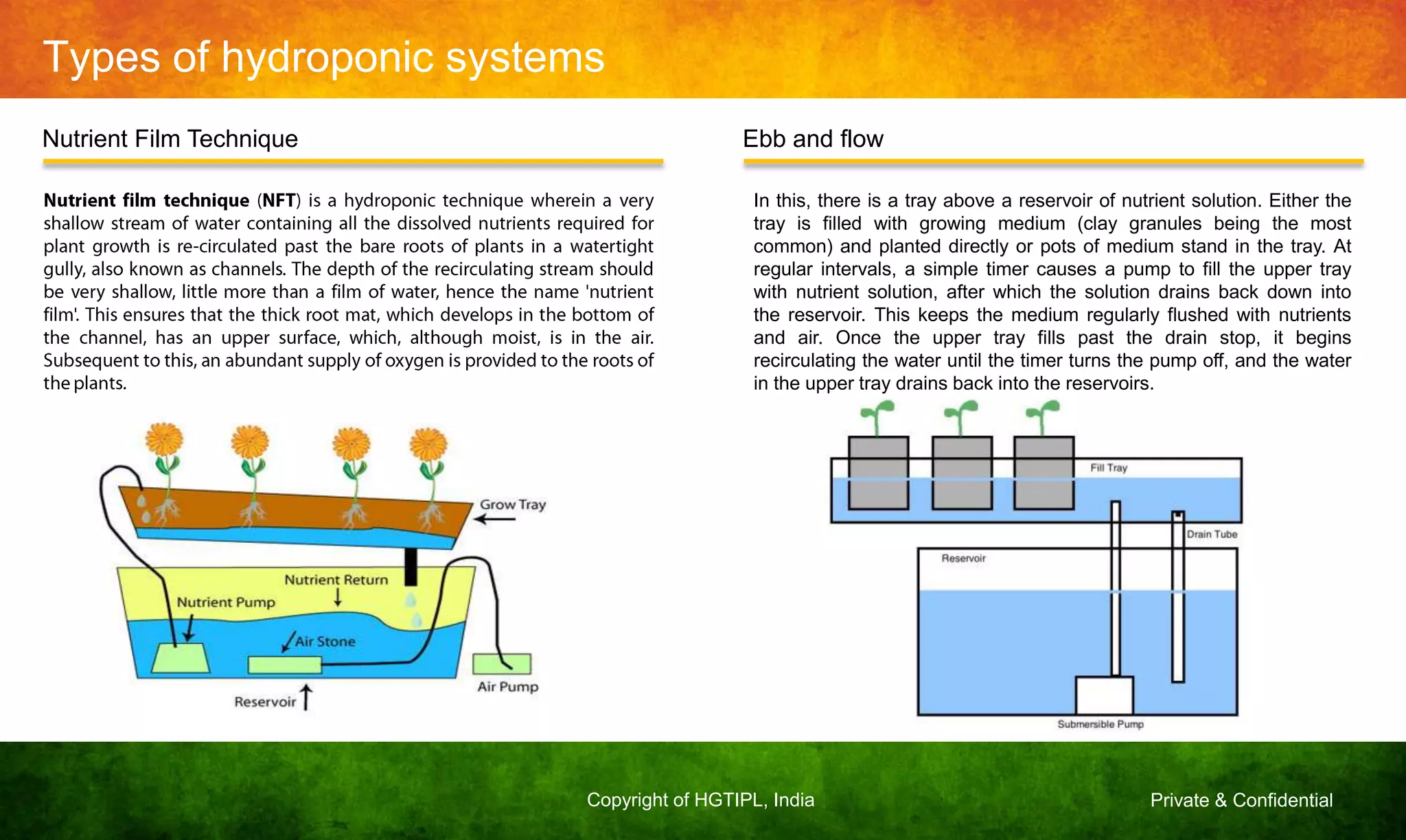 Private & ConfidentialCopyright of HGTIPL, India
Types of hydroponic systems
Nutrient Film Technique Ebb and flow
In this, there is a tray above a reservoir of nutrient solution. Either the
tray is filled with growing medium (clay granules being the most
common) and planted directly or pots of medium stand in the tray. At
regular intervals, a simple timer causes a pump to fill the upper tray
with nutrient solution, after which the solution drains back down into
the reservoir. This keeps the medium regularly flushed with nutrients
and air. Once the upper tray fills past the drain stop, it begins
recirculating the water until the timer turns the pump off, and the water
in the upper tray drains back into the reservoirs.
 