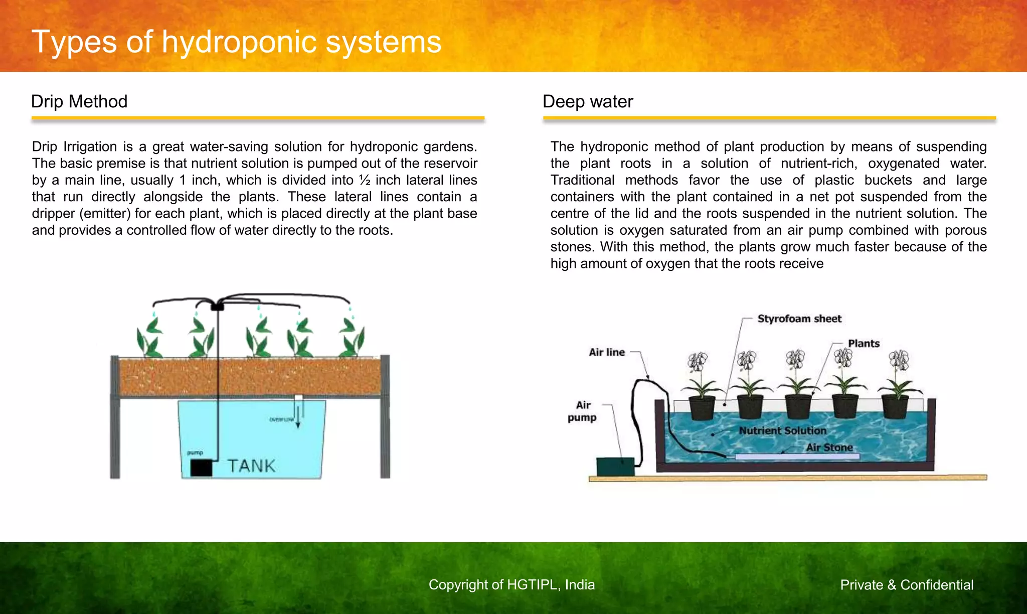 Private & ConfidentialCopyright of HGTIPL, India
Types of hydroponic systems
Drip Method Deep water
Drip Irrigation is a great water-saving solution for hydroponic gardens.
The basic premise is that nutrient solution is pumped out of the reservoir
by a main line, usually 1 inch, which is divided into ½ inch lateral lines
that run directly alongside the plants. These lateral lines contain a
dripper (emitter) for each plant, which is placed directly at the plant base
and provides a controlled flow of water directly to the roots.
The hydroponic method of plant production by means of suspending
the plant roots in a solution of nutrient-rich, oxygenated water.
Traditional methods favor the use of plastic buckets and large
containers with the plant contained in a net pot suspended from the
centre of the lid and the roots suspended in the nutrient solution. The
solution is oxygen saturated from an air pump combined with porous
stones. With this method, the plants grow much faster because of the
high amount of oxygen that the roots receive
 