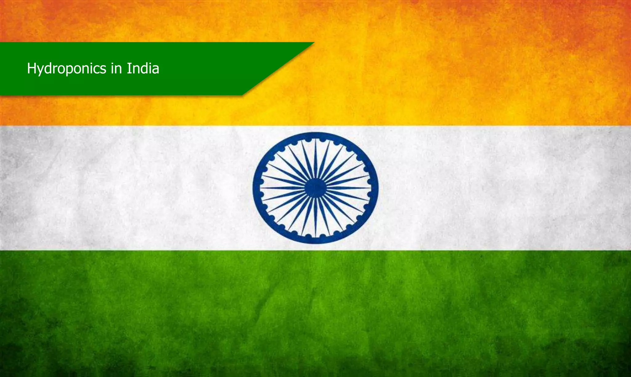 Private & ConfidentialCopyright of HGTIPL, India
Hydroponics in India
 