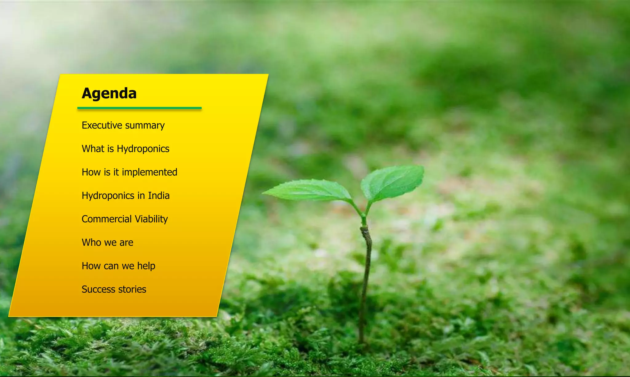 Private & ConfidentialCopyright of HGTIPL, India
Agenda
Executive summary
What is Hydroponics
How is it implemented
Hydroponics in India
Commercial Viability
Who we are
How can we help
Success stories
 