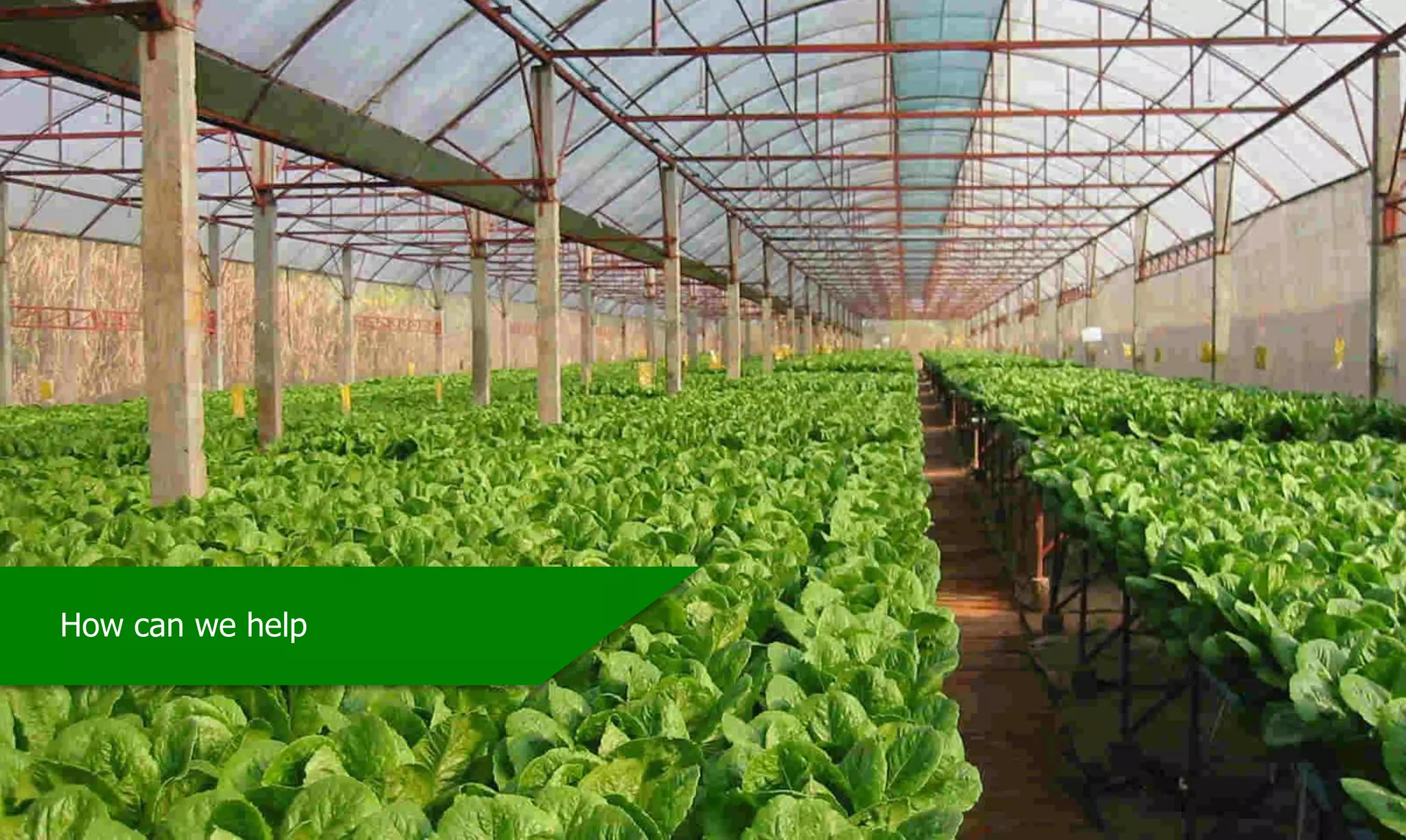 Private & ConfidentialCopyright of HGTIPL, India
How can we help
 