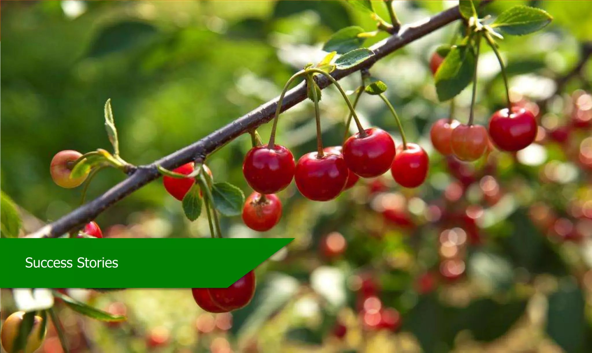 Private & ConfidentialCopyright of HGTIPL, India
Success Stories
 