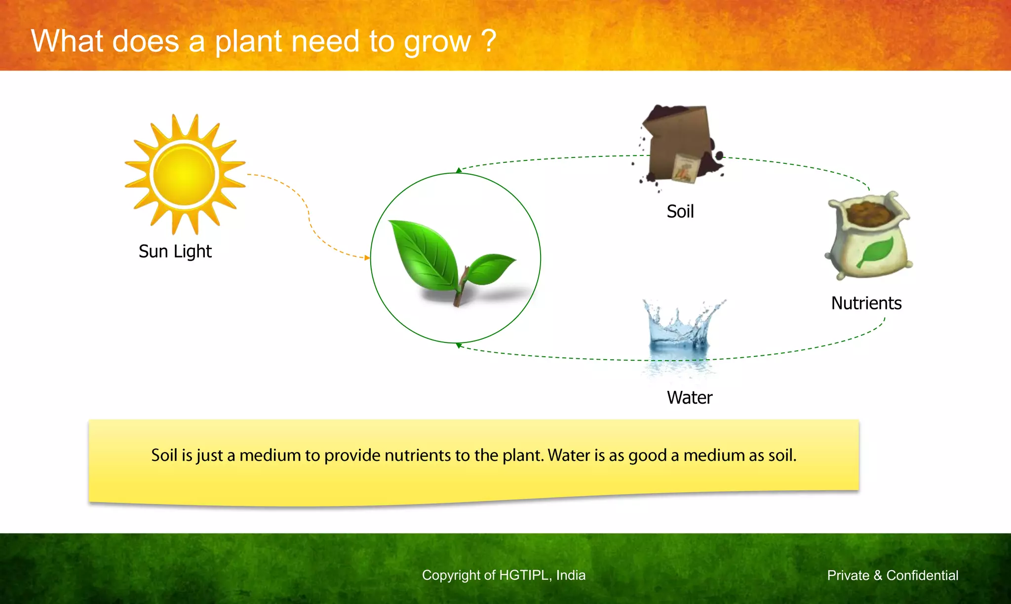 Private & ConfidentialCopyright of HGTIPL, India
What does a plant need to grow ?
Sun Light
Nutrients
Soil
Water
 