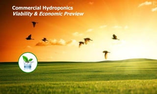 Copyright of ISH, India
Commercial Hydroponics
Viability & Economic Preview
 