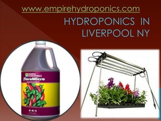 www.empirehydroponics.com
 