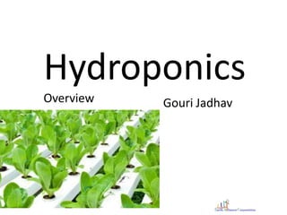 Hydroponics
Overview Gouri Jadhav
 