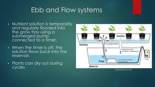 Hydroponics PPT.pdf
