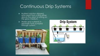 Ebb and Flow systems
▪ Nutrient solution is temporarily
and regularly flooded into
the grow tray using a
submerged pump
co...