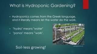 What is Hydroponic Gardening?
▪ Hydroponics comes from the Greek language,
and it literally means let the water do the wor...