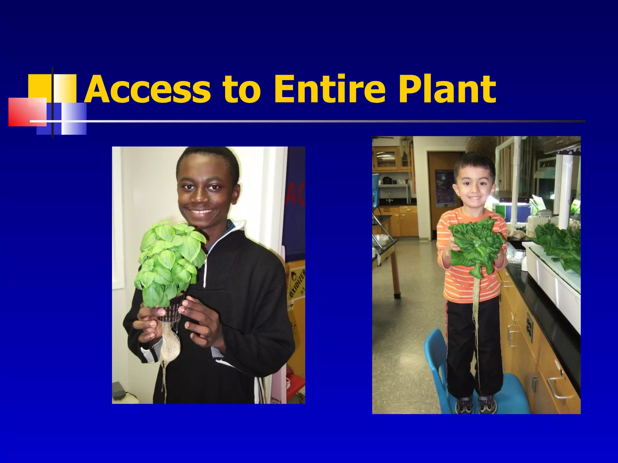 Access to Entire Plant 