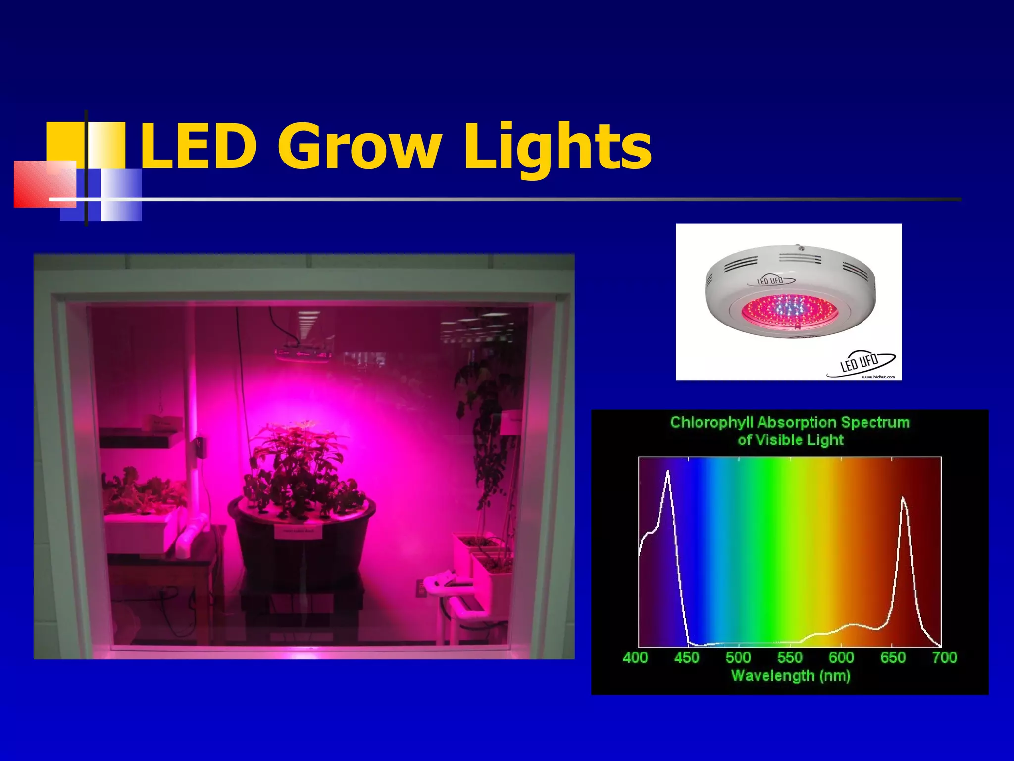 LED Grow Lights 