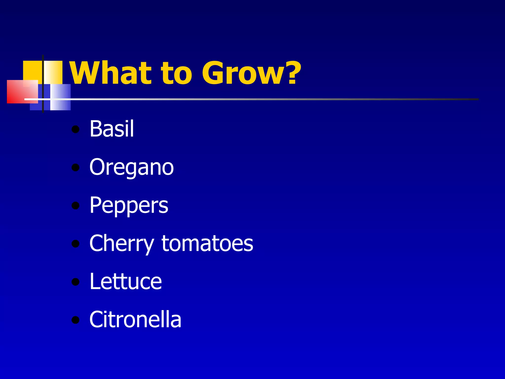 What to Grow? Basil Oregano Peppers Cherry tomatoes Lettuce Citronella 