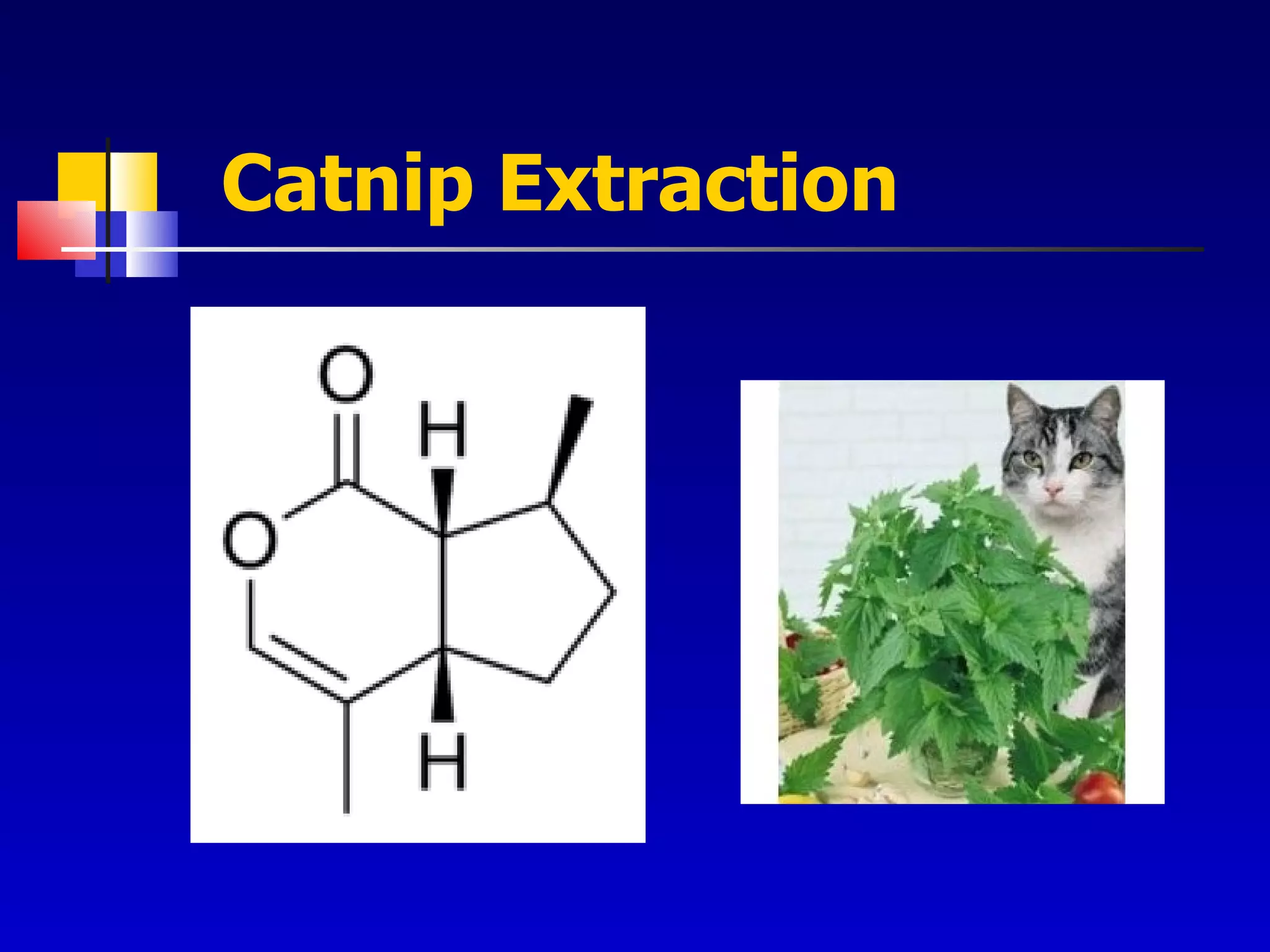 Catnip Extraction 