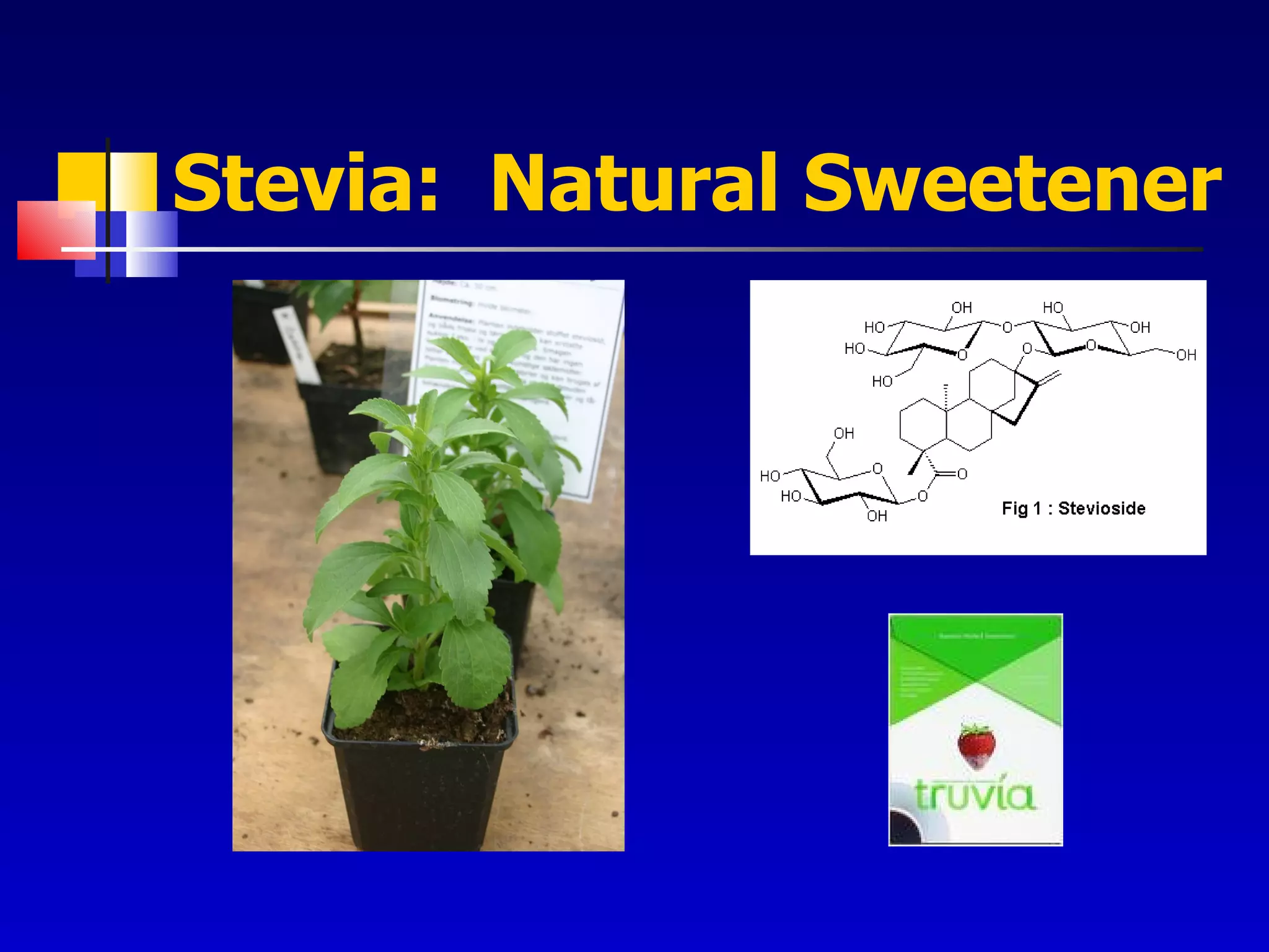 Stevia:  Natural Sweetener 