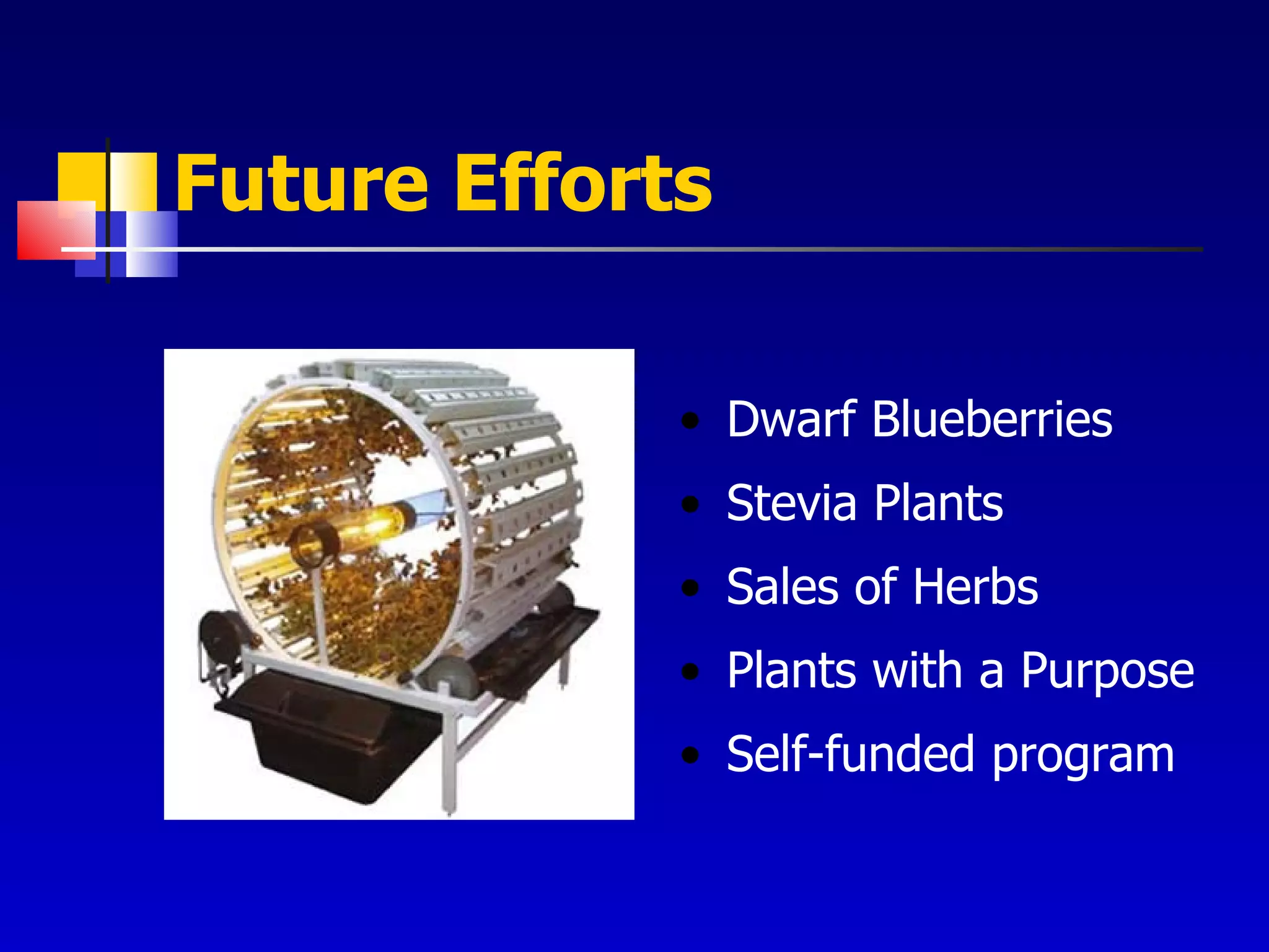 Future Efforts Dwarf Blueberries Stevia Plants Sales of Herbs Plants with a Purpose Self-funded program 