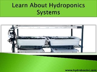 www.hydroboxinc.com
 