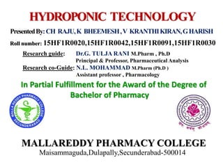 Research guide: Dr.G. TULJA RANI M.Pharm , Ph.D
Principal & Professor, Pharmaceutical Analysis
Research co-Guide: N.L. MOHAMMAD M.Pharm (Ph.D )
Assistant professor , Pharmacology
HYDROPONIC TECHNOLOGY
MALLAREDDY PHARMACY COLLEGE
Maisammaguda,Dulapally,Secunderabad-500014
In Partial Fulfillment for the Award of the Degree of
Bachelor of Pharmacy
PresentedBy:CH RAJU,K BHEEMESH,V KRANTHIKIRAN,GHARISH
Roll number: 15HF1R0020,15HF1R0042,15HF1R0091,15HF1R0030
 