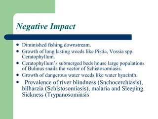 Negative Impact Diminished fishing downstream. Growth of long lasting weeds like Pistia, Vossia spp. Ceratophyllum. Ceratophyllum’s submerged beds house large populations of Bulinus snails the vector of Schistosomiasis. Growth of dangerous water weeds like water hyacinth.  Prevalence of river blindness (Snchocerchiasis), bilharzia (Schistosomiasis), malaria and Sleeping Sickness (Trypanosomiasis  