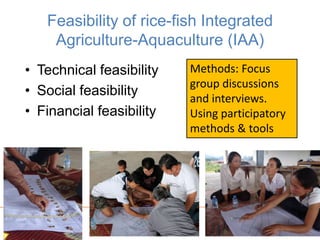 www.iwmi.org
A water-secure world
Feasibility of rice-fish Integrated
Agriculture-Aquaculture (IAA)
• Technical feasibility
• Social feasibility
• Financial feasibility
12
Methods: Focus
group discussions
and interviews.
Using participatory
methods & tools
 