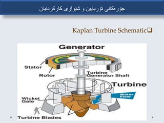 ‫کارکردنیان‬ ‫شێوازی‬ ‫و‬ ‫تۆربایین‬ ‫جۆرەکانی‬
Horizontal Kaplan TurbineVertical Kaplan Turbine Setup
 
