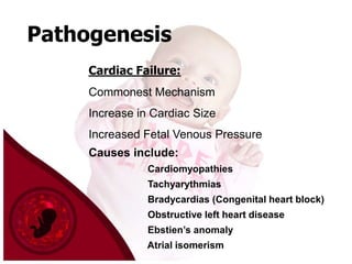 Pathogenesis
Cardiac Failure:

Commonest Mechanism
Increase in Cardiac Size
Increased Fetal Venous Pressure

Causes include:
Cardiomyopathies
Tachyarythmias
Bradycardias (Congenital heart block)

Obstructive left heart disease
Ebstien’s anomaly
Atrial isomerism

 