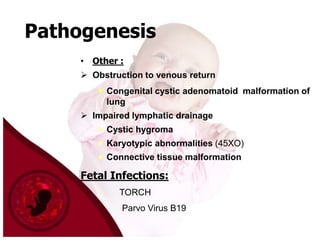 Pathogenesis
• Other :
 Obstruction to venous return

 Congenital cystic adenomatoid malformation of
lung
 Impaired lymphatic drainage
 Cystic hygroma

 Karyotypic abnormalities (45XO)
 Connective tissue malformation

Fetal Infections:
TORCH
Parvo Virus B19

 