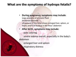 What are the symptoms of hydrops fetalis?

• During pregnancy, symptoms may include:
large amounts of amniotic fluid
thickened placenta
ultrasound of the fetus shows enlarged liver, spleen, or
heart, and fluid buildup in the fetus' abdomen

• After birth, symptoms may include:
pale coloring
severe edema overall, especially in the baby's
abdomen
enlarged liver and spleen
respiratory distress

 