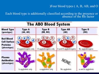 Four blood types ( A, B, AB, and O)
Each blood type is additionally classified according to the presence or
absence of the Rh factor
 