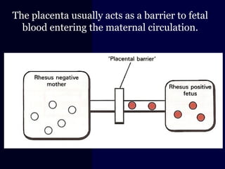 The placenta usually acts as a barrier to fetal
blood entering the maternal circulation.
 