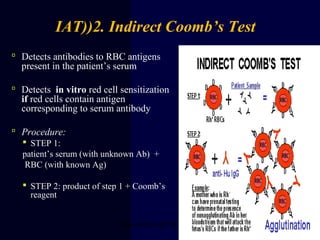  Detects antibodies to RBC antigens
present in the patient’s serum
 Detects in vitro red cell sensitization
if red cells contain antigen
corresponding to serum antibody
 Procedure:
 STEP 1:
patient’s serum (with unknown Ab) +
RBC (with known Ag)
 STEP 2: product of step 1 + Coomb’s
reagent
IAT((2. Indirect Coomb’s Test
Deepa Babin @TMC Kollam 29
 