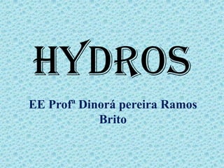 Hydros
EE Profª Dinorá pereira Ramos
            Brito
 