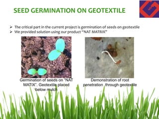  The critical part in the current project is germination of seeds on geotextile
 We provided solution using our product “NAT MATRIX”
Germination of seeds on “NAT
MATIX”. Geotextile placed
below mulch
Demonstration of root
penetration through geotextile
SEED GERMINATION ON GEOTEXTILE
 