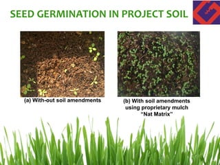 SEED GERMINATION IN PROJECT SOIL
(a) With-out soil amendments (b) With soil amendments
using proprietary mulch
“Nat Matrix”
 