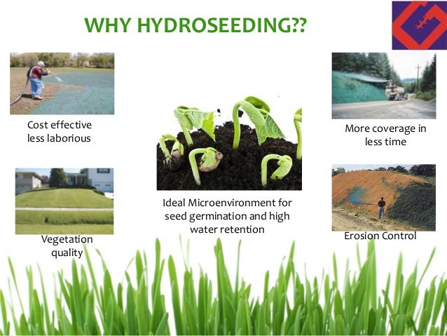 Hydroseeding for erosion control