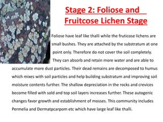 Stage 2: Foliose and
Fruitcose Lichen Stage
•
Foliose have leaf like thalli while the fruticose lichens are
small bushes. They are attached by the substratum at one
point only. Therefore do not cover the soil completely.
They can absorb and retain more water and are able to
accumulate more dust particles. Their dead remains are decomposed to humus
which mixes with soil particles and help building substratum and improving soil
moisture contents further. The shallow depreciation in the rocks and crevices
become filled with sold and top soil layers increases further. These autogenic
changes favor growth and establishment of mosses. This community includes
Permelia and Dermatpcarpom etc which have large leaf like thalli.
 