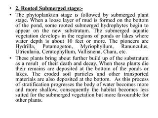 • 2. Rooted Submerged stage:-
• The phytoplankton stage is followed by submerged plant
stage. When a loose layer of mud is formed on the bottom
of the pond, some rooted submerged hydrophytes begin to
appear on the new substratum. The submerged aquatic
vegetation develops in the regions of ponds or lakes where
water depth is about 10 feet or more. The pioneers are
Hydrilla, Potamogeton, Myriophyllum, Ranunculus,
Utricularia, Ceratophyllum, Vallisnena, Chara, etc.
• These plants bring about further build up of the substratum
as a result of their death and decay. When these plants die
their remains are deposited at the bottom of the ponds or
lakes. The eroded soil particles and other transported
materials are also deposited at the bottom. As this process
of stratification progresses the body of water becomes more
and more shallow, consequently the habitat becomes less
suited for the submerged vegetation but more favourable for
other plants.
 