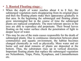 • 3. Rooted Floating stage: -
• When the depth of water reaches about 4 to 8 feet, the
submerged vegetation starts disappearing from its original place
and then the floating plants make their appearance gradually in
that area. In the beginning the submerged and floating plants
grow intermingled but in the course of time the submerged
plants are replaced completely. The most tolerant species in the
area are able to reproduce and perpetuate. Their broad leaves
floating on the water surface check the penetration of light to
deeper layer of water.
• This may be one of the main causes responsible for the death of
submerged plants. Due to continuous interaction between plant
communities and aquatic environment, the habitat becomes
changed chemically as well as physically. More water and air
borne soil and dead remains of plants are deposited at the
bottom. Thus, the substratum rises up in vertical direction.
Important floating plants that replace the submerged vegetation
are Nelumbmm, Trapa, Pistia, Nymphaea, and Limnanthemum
etc.
 