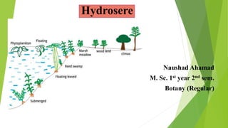 Hydrosere
Naushad Ahamad
M. Sc. 1st year 2nd sem.
Botany (Regular)
 
