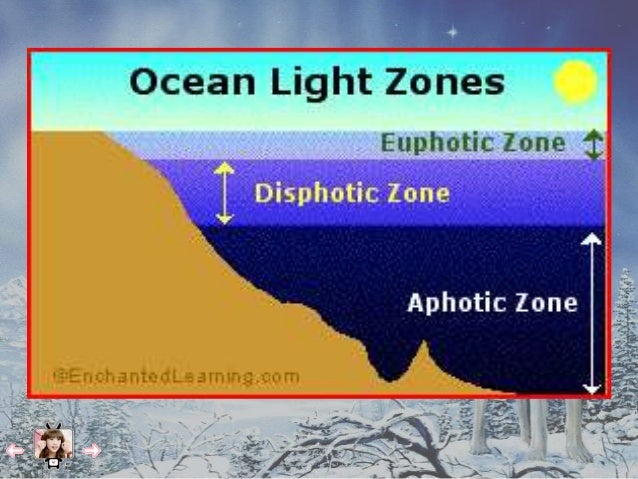Hydrosphere