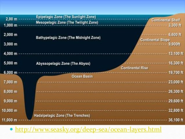 Hydrosphere