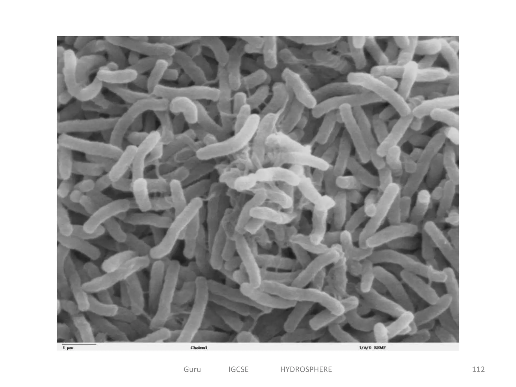 112Guru IGCSE HYDROSPHERE
 
