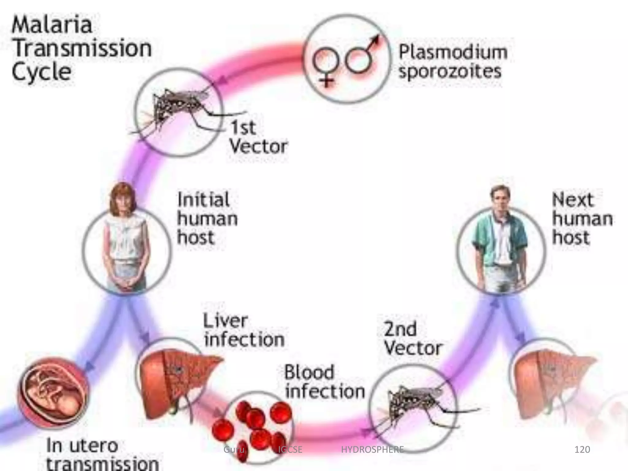 120Guru IGCSE HYDROSPHERE
 