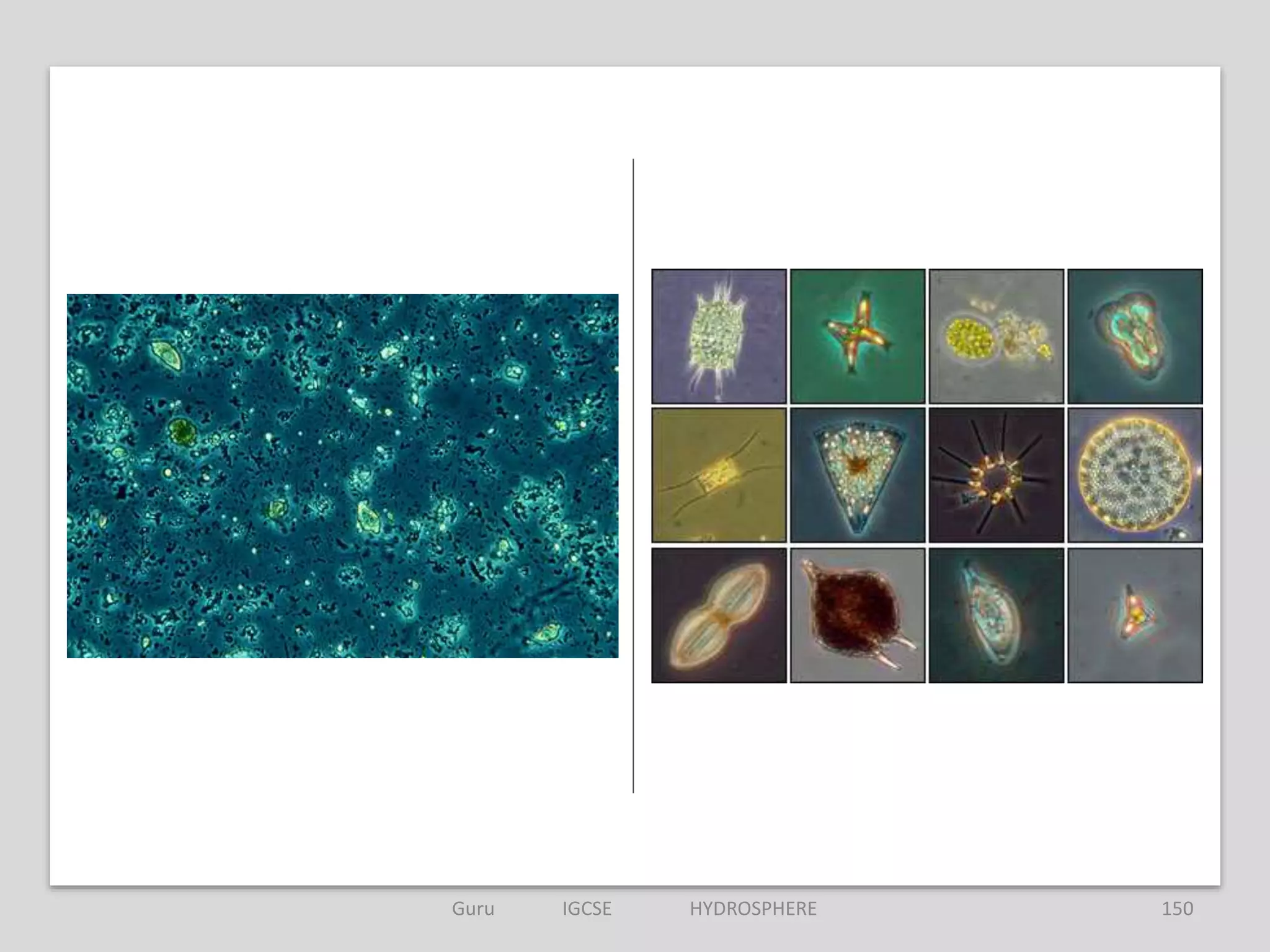150Guru IGCSE HYDROSPHERE
 